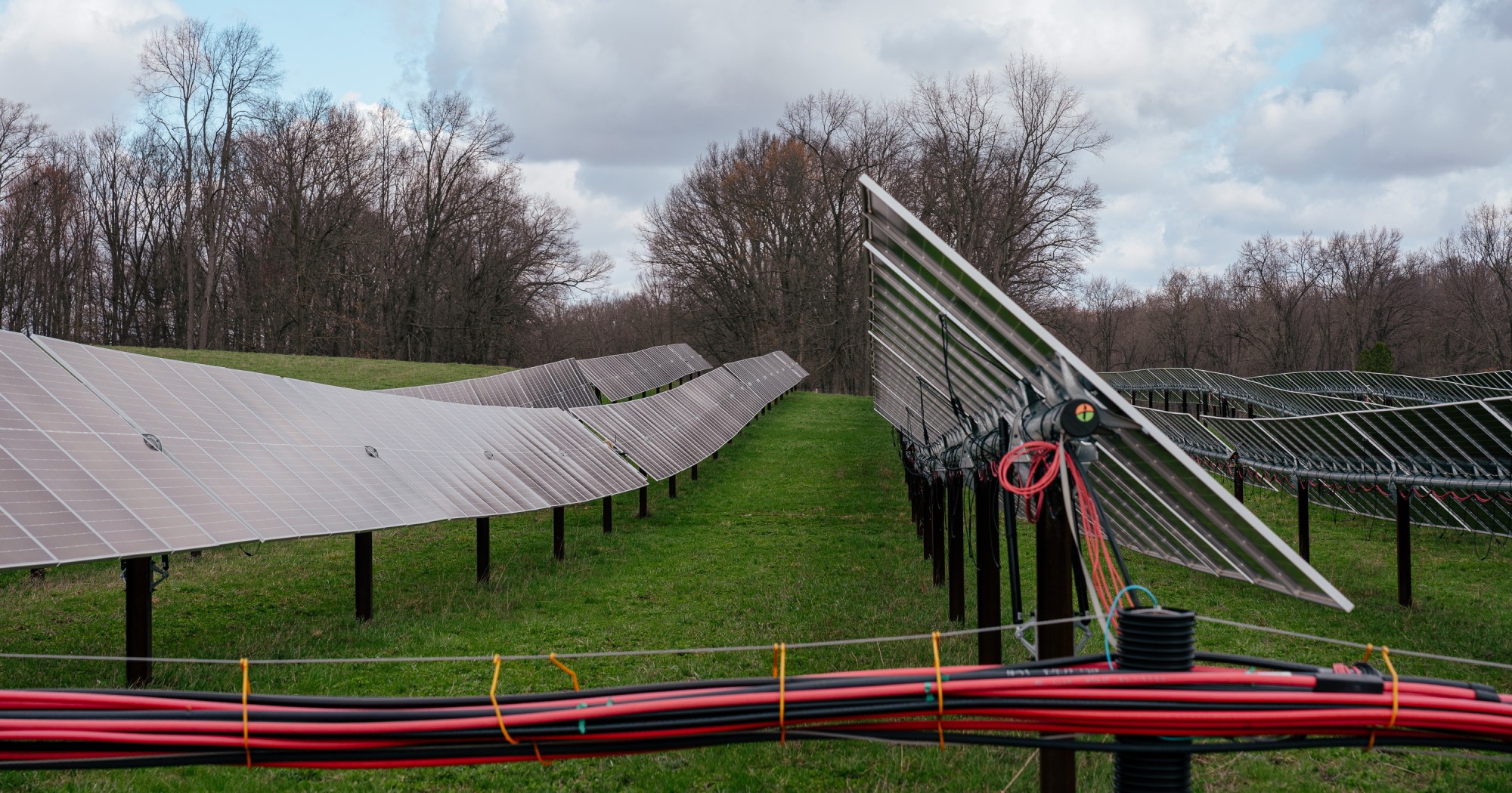 OG20260406 Hagen StClair 0220 maxHeight 3000 maxWidth 3000 copy