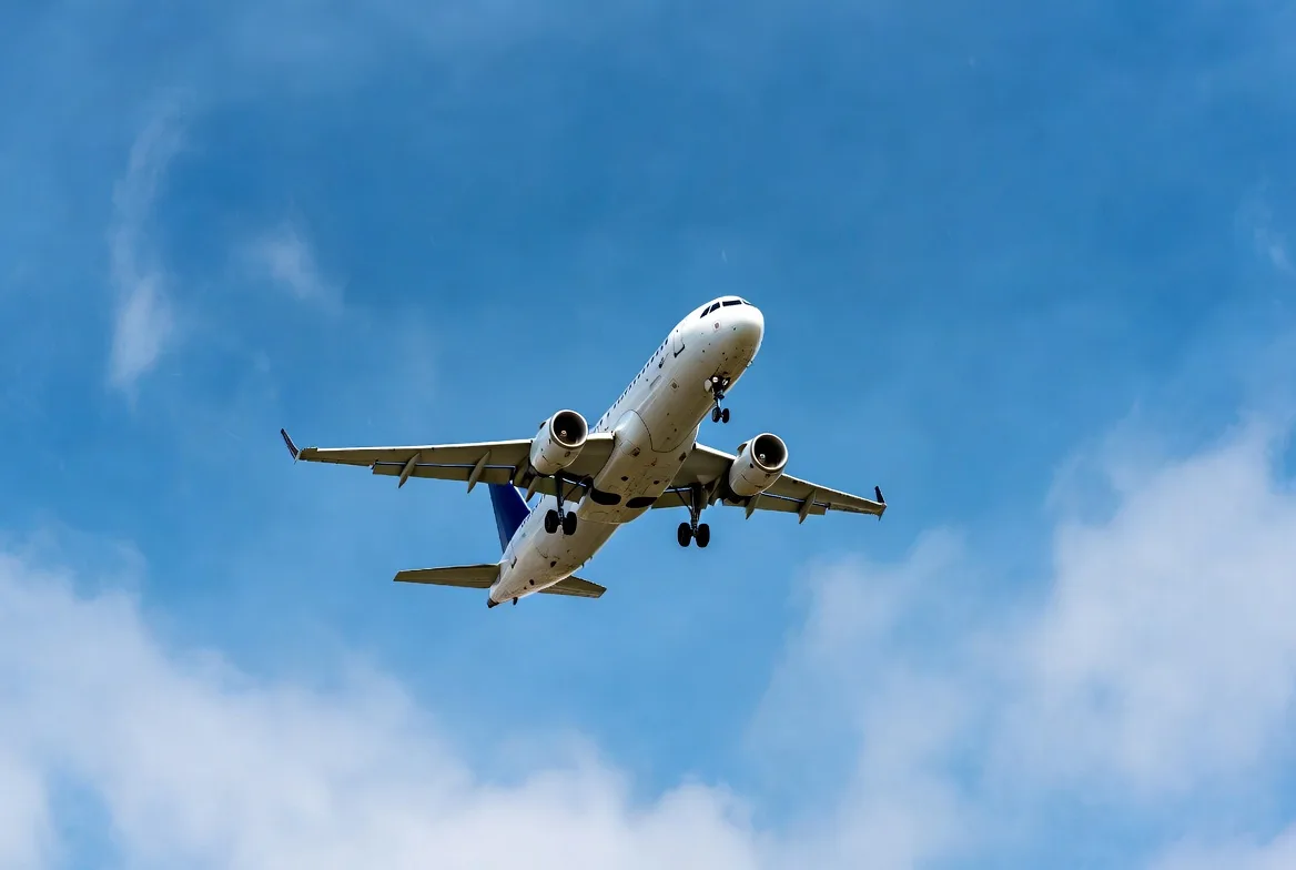 PLANE IN THE SKY.webp