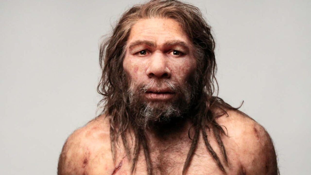 Are Neanderthals descendants of modern humans?
