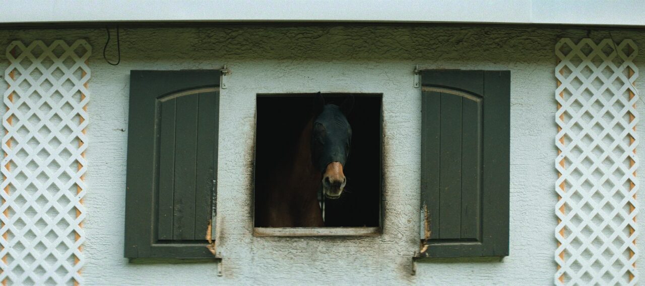 Volume Six of Netflix’s “Untold” Offers More Digestible Breakdowns of Sports Scandals