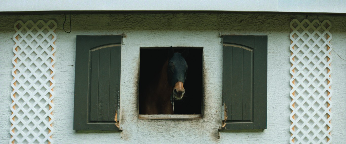 Untold The Shooting at Hawthorne Hill n 00 30 13 00