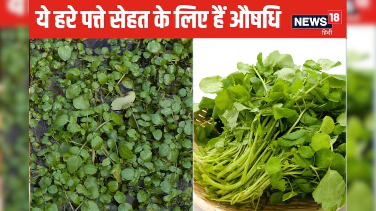 Watercress Health benefits 2024 07 4ba17b854701991b0264b4bffe1e7184 2026 04 1c7cab36f866979e29f5d836