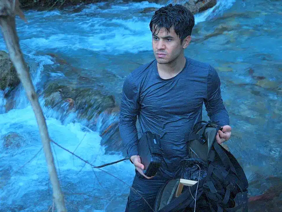 Wordless Forest 25.webp