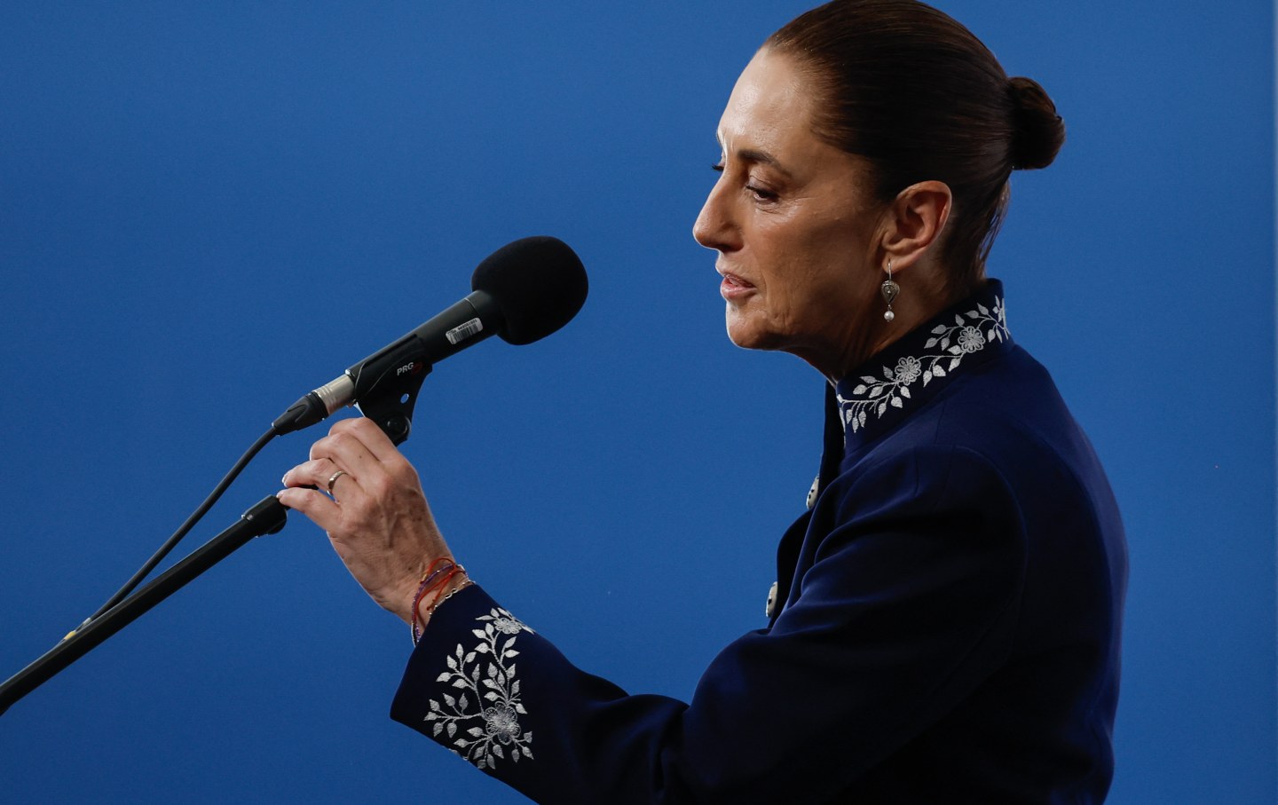 claudia sheinbaum summit democracy