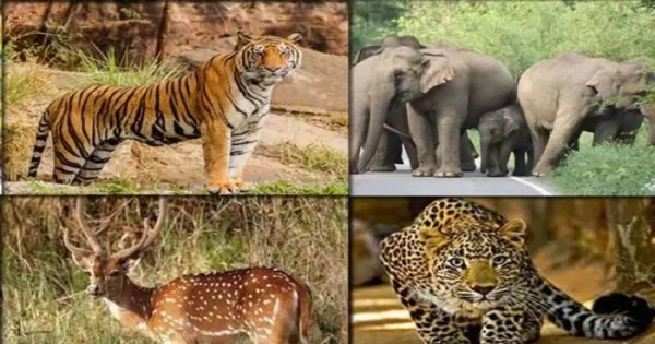 f79564e4ec96fae578fc5540f1445a29 1533349655