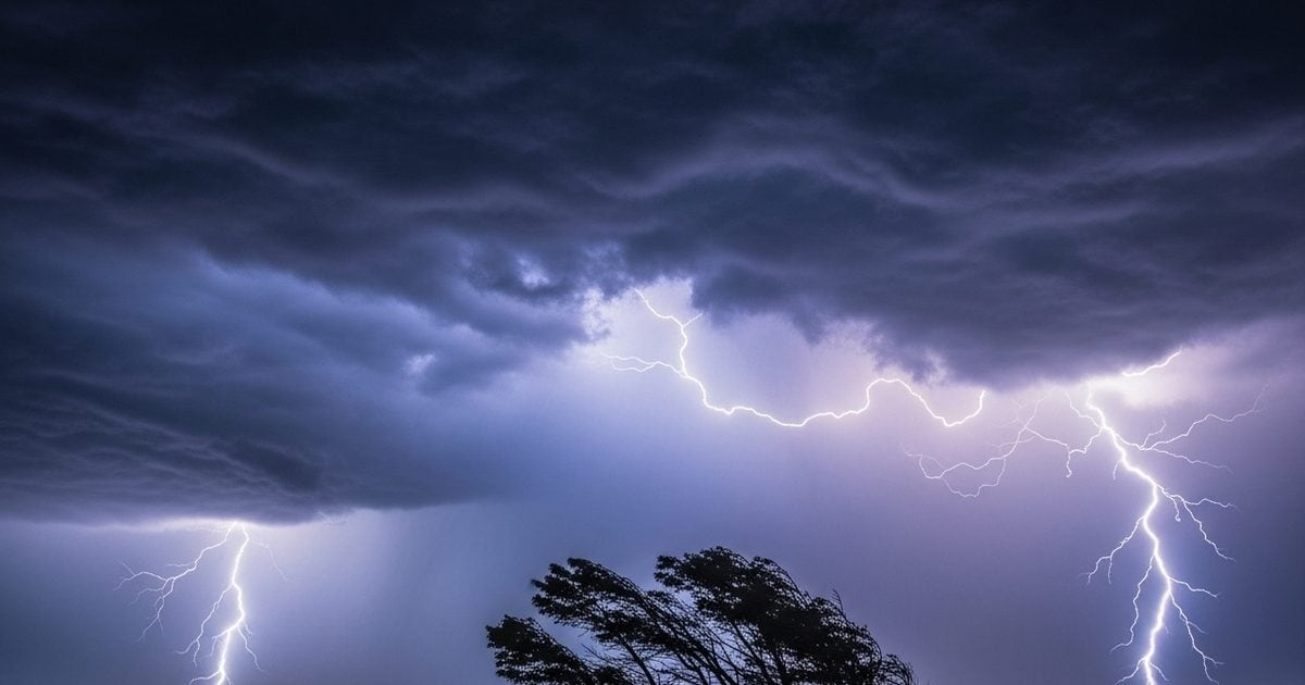 image 2026 04 652ee677fd67483270e99ba4b20428c0