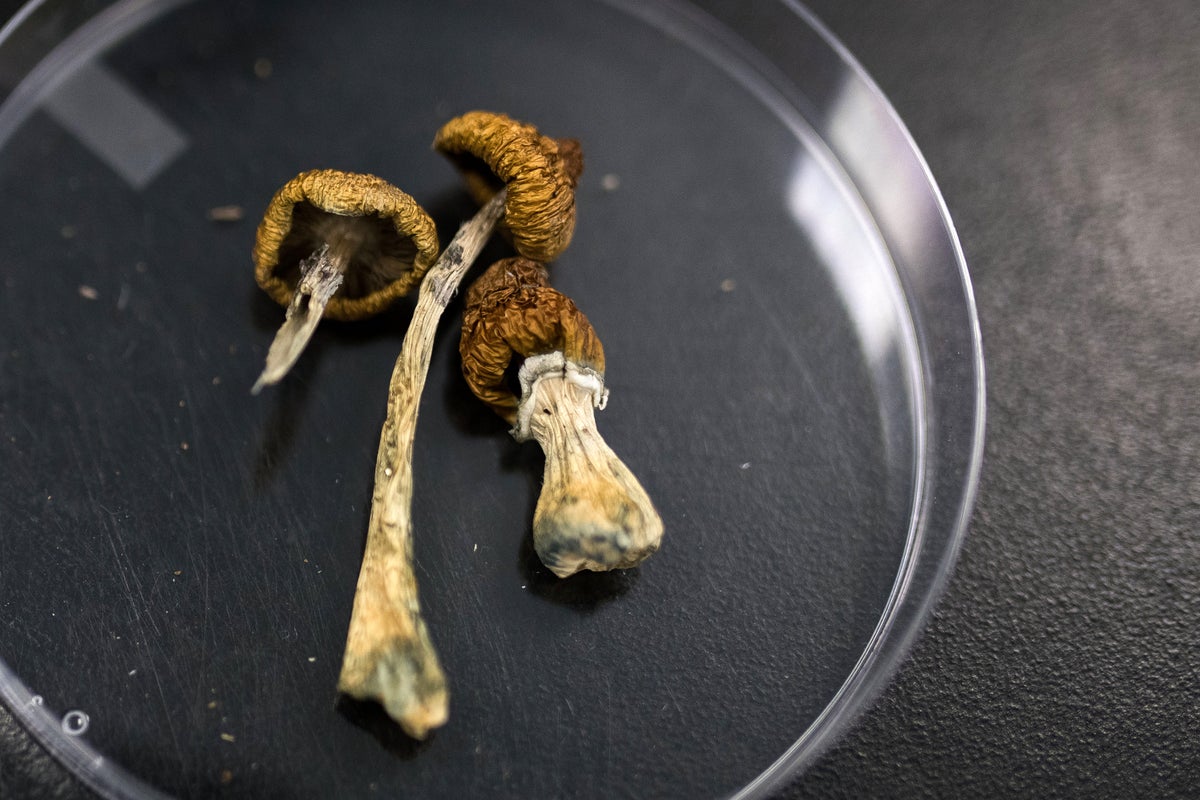 psilocybin