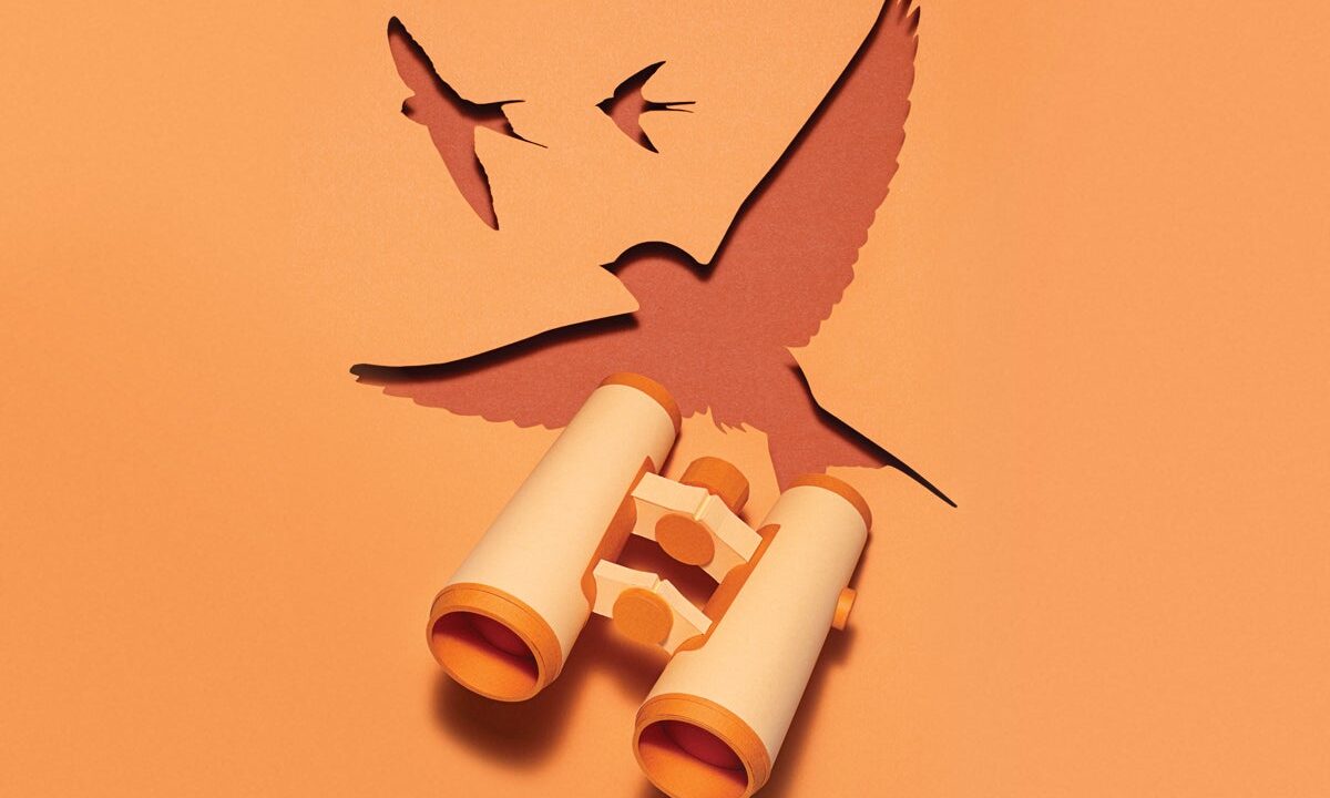 Expensive versus affordable binoculars—what’s the difference?