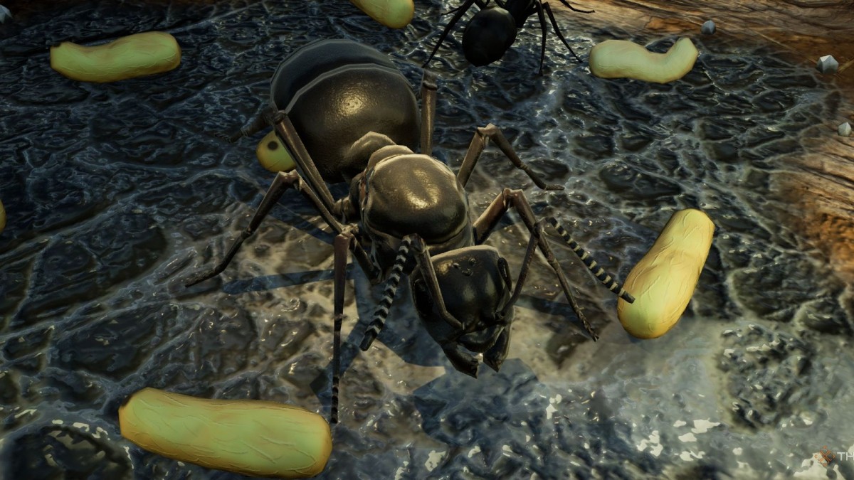 speak to the manager bundle 01