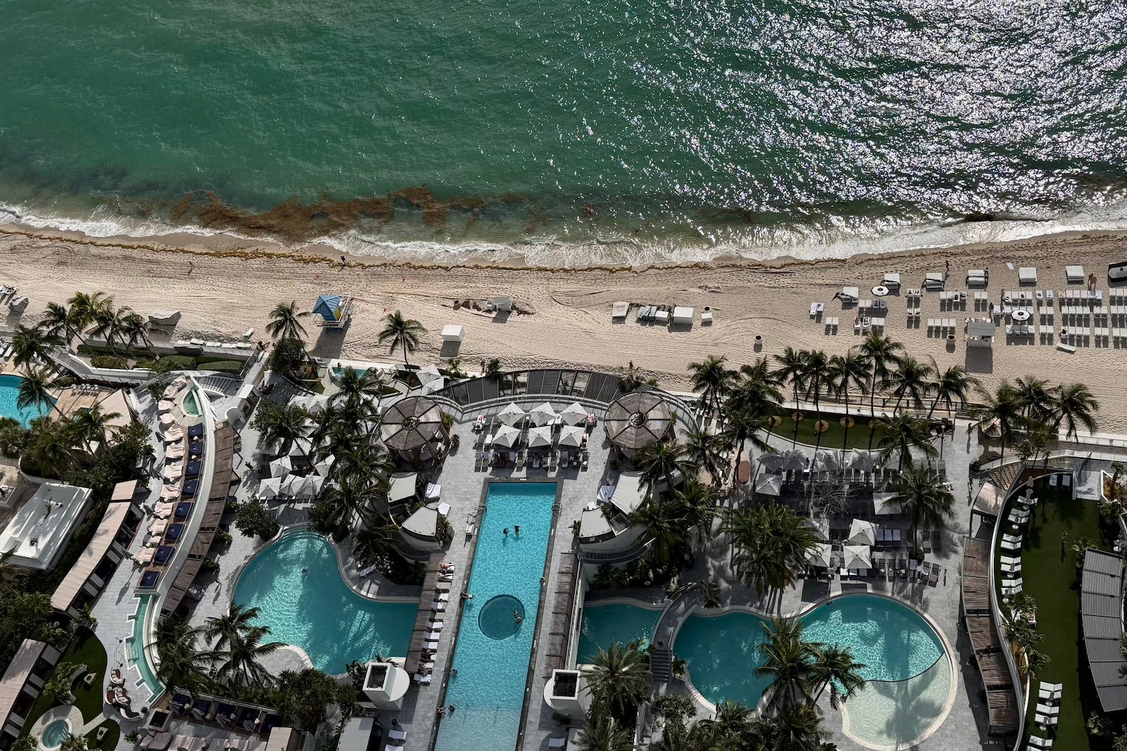 the diplomat signia TSAUNDERS12