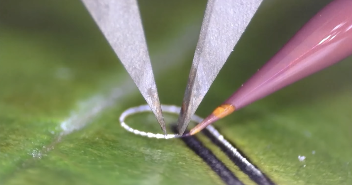 urlhttps3A2F2Fnewatlas brightspot.s3.amazonaws.com2F382F892F8e875c014ad1bc0501758de48f242Fh