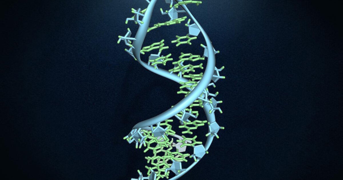 urlhttps3A2F2Fnewatlas brightspot.s3.amazonaws.com2F472Fe42F9d4751ed48178680f1d0ee8d1ca42Fa