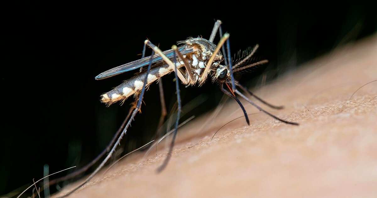 urlhttps3A2F2Fnewatlas brightspot.s3.amazonaws.com2F962F0e2F06e169104ce89e6715e63005dd432Fa