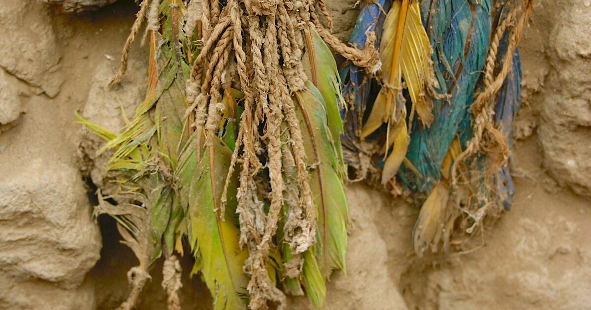 urlhttps3A2F2Fnewatlas brightspot.s3.amazonaws.com2Fc62F5f2F7276f72f4aa282a24136368771d32Fa