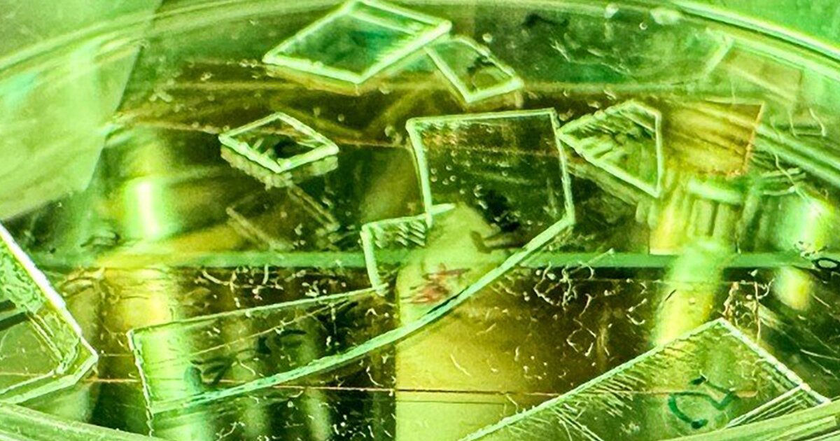 urlhttps3A2F2Fnewatlas brightspot.s3.amazonaws.com2Fc72Fc22F74e7ef5842229cb628c111b93db22Fs