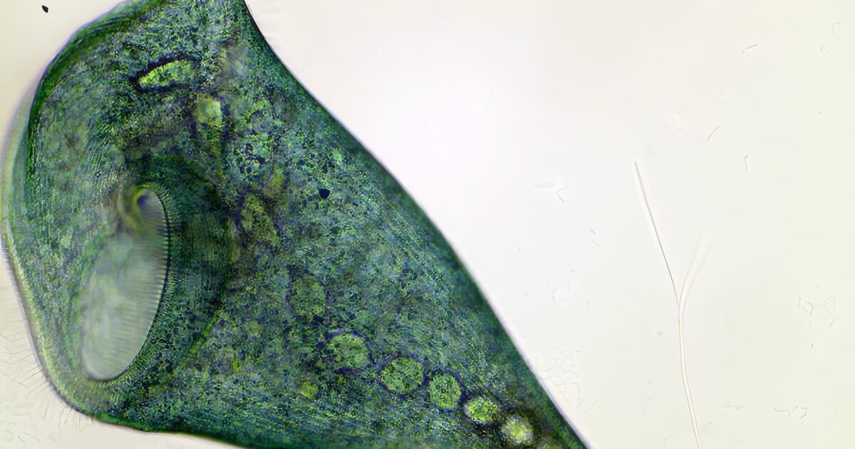 urlhttps3A2F2Fnewatlas brightspot.s3.amazonaws.com2Fdb2Ffa2Fe6a9c0d44a2ab01226db8461ac972Fs