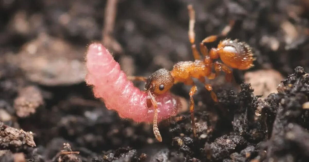 urlhttps3A2F2Fnewatlas brightspot.s3.amazonaws.com2Ffa2Ff02Fb83cc22c41fbb6a661577bf635c12Fm