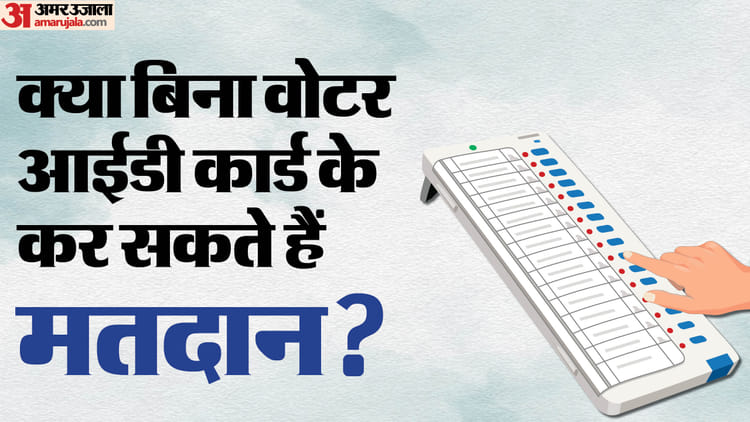 voter id card d39d381079b4cfc740556083da0b4946