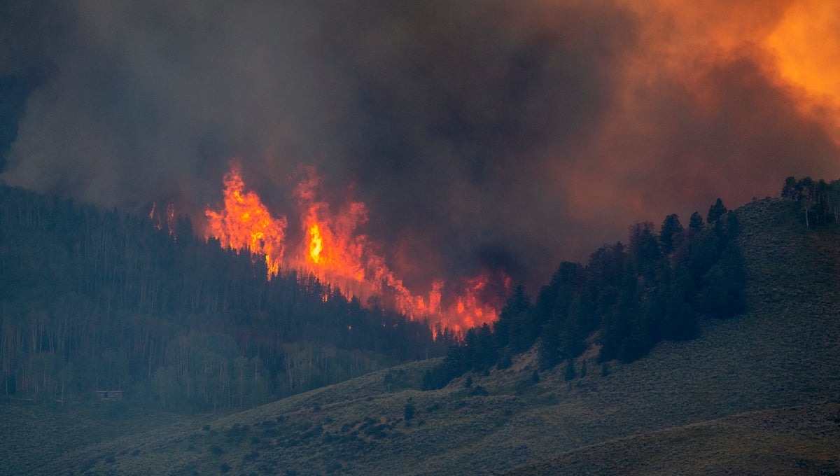 wildfire colorado