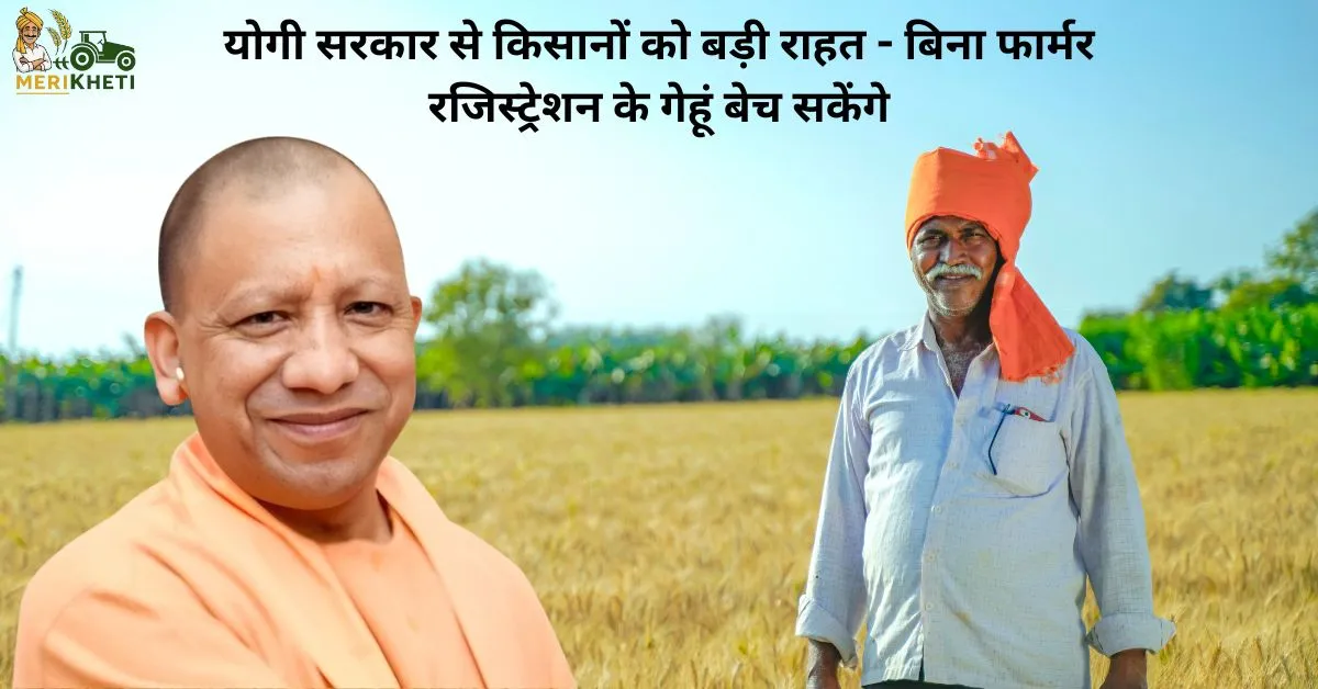 बिना फार्मर रजिस्ट्रेशन के भी बेच सकेंगे गेहूं1.webp