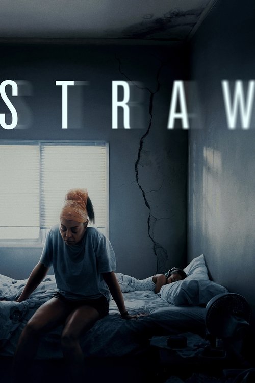 66411 straw