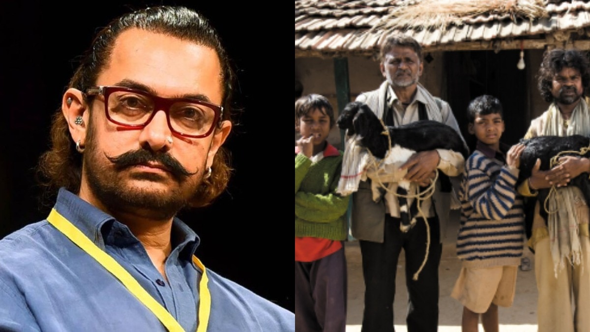6a13123f3cdb1 aamir khan mahangai dayan khay jaat 245905733