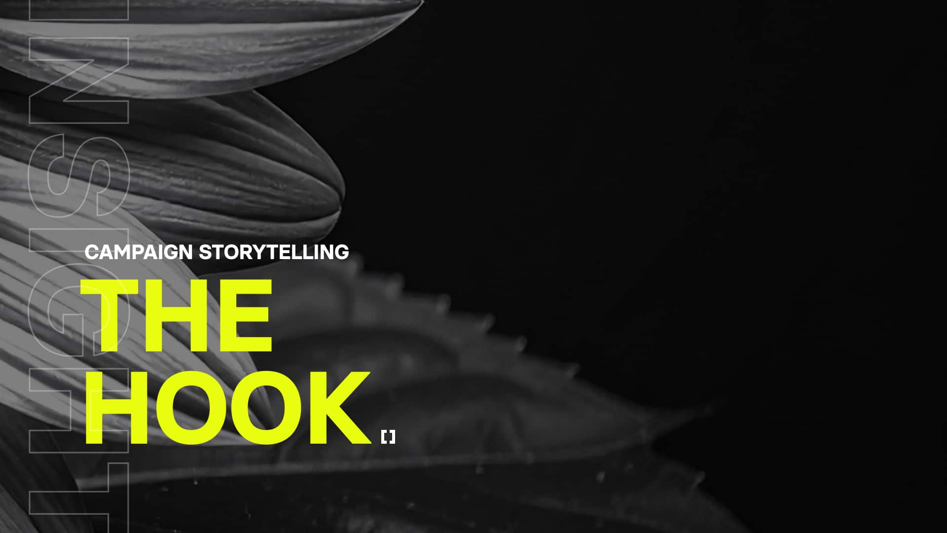PL storytelling hook
