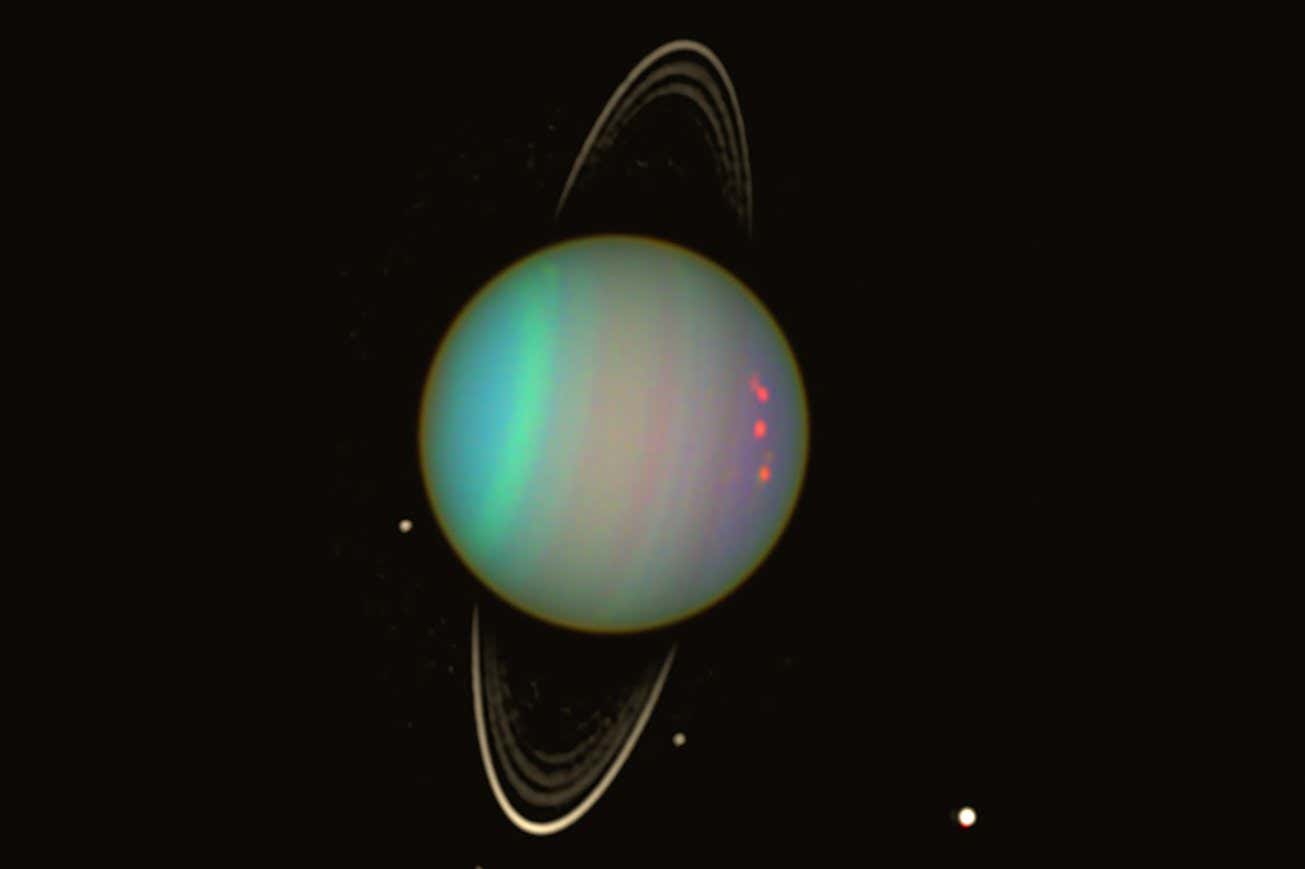 SEI 295137890