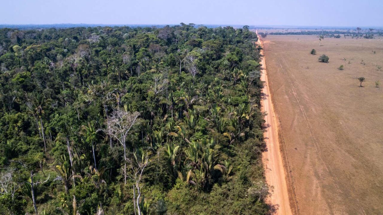 Deforestation could trigger Amazon tipping point in the 2030s