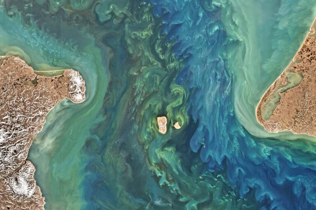 A vast dam across the Bering Strait could stop the AMOC collapsing