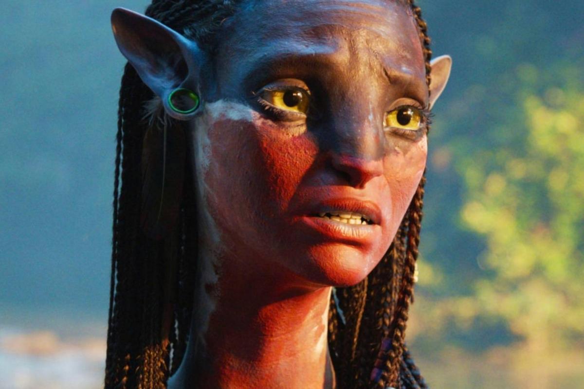 attachment neytiri from avatar 1