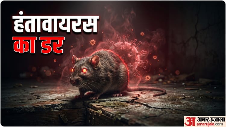 hantavirus b60830056124c20d84b72591b1aa86d6