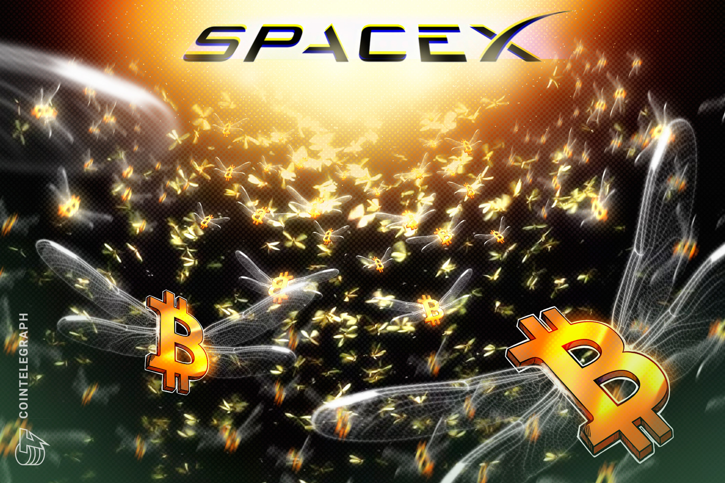 hi company seeks more btc exposure demand for crypto exposure is high