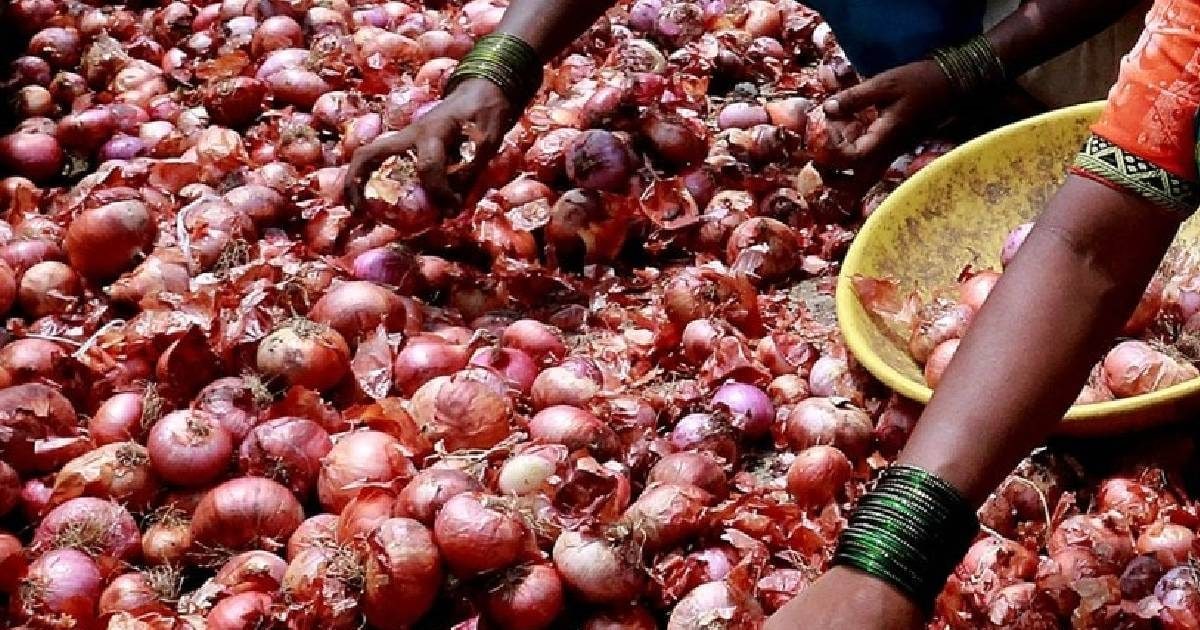 onion 2026 05 54d6ad6bc566cddc10b1c199de956706