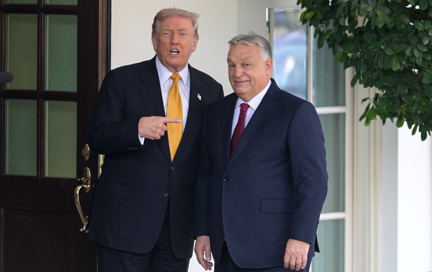 trump orban getty