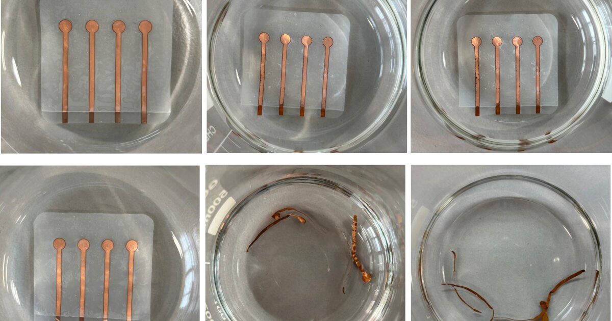 Living plastic breaks down on command