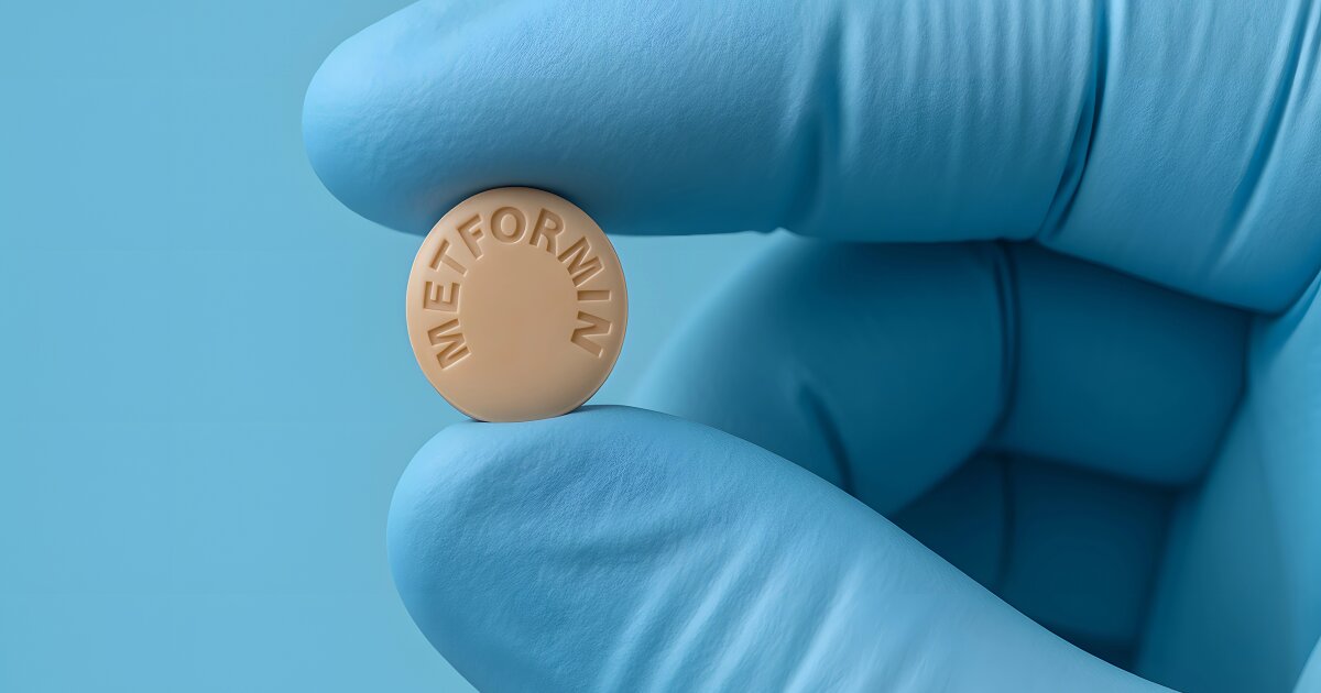 Metformin’s gut action helps regulate blood sugar