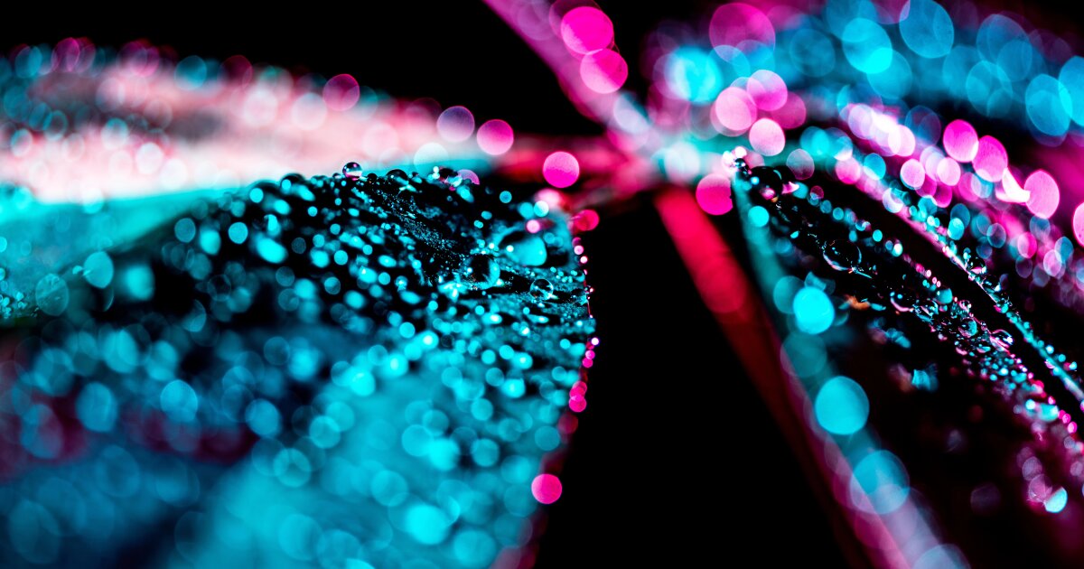 urlhttps3A2F2Fnewatlas brightspot.s3.amazonaws.com2Fe42F532F00c78d0649cbb0860ae55b9d62172Fd