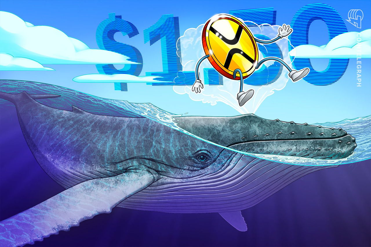 whale ripple