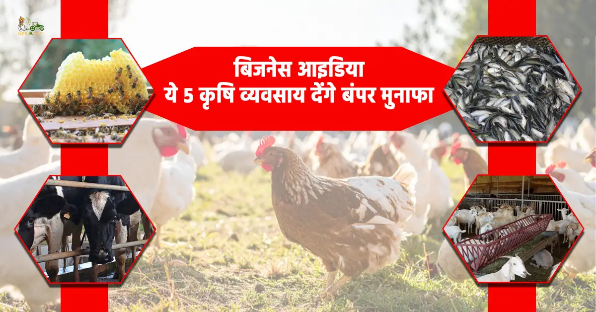 गांव में शुरू करें ये टॉप 5 कृषि बिजनेस 1.webp