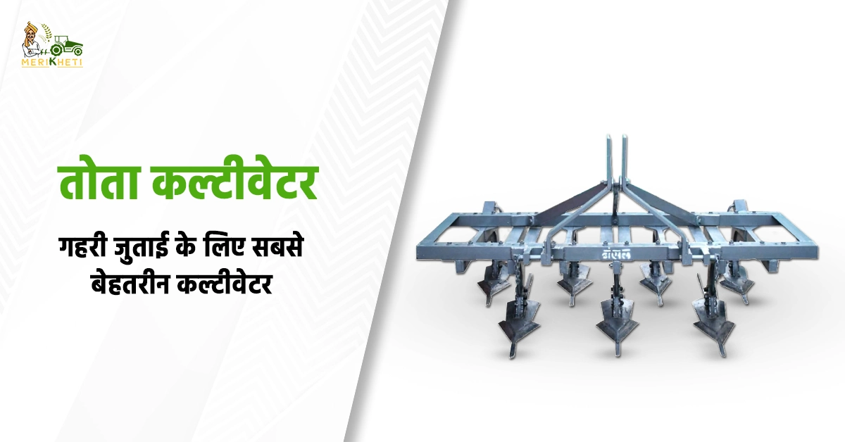 तोता कल्टीवेटर क्या है1.webp